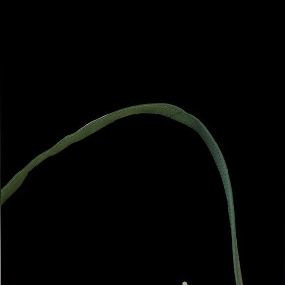 Absolutely adorable Perlina minty green crossbody leather bag…great quality! EUC - Picture 13 of 14